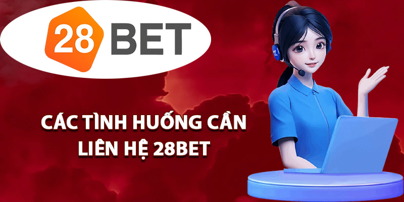 Các tình huống cần liên hệ 28BET